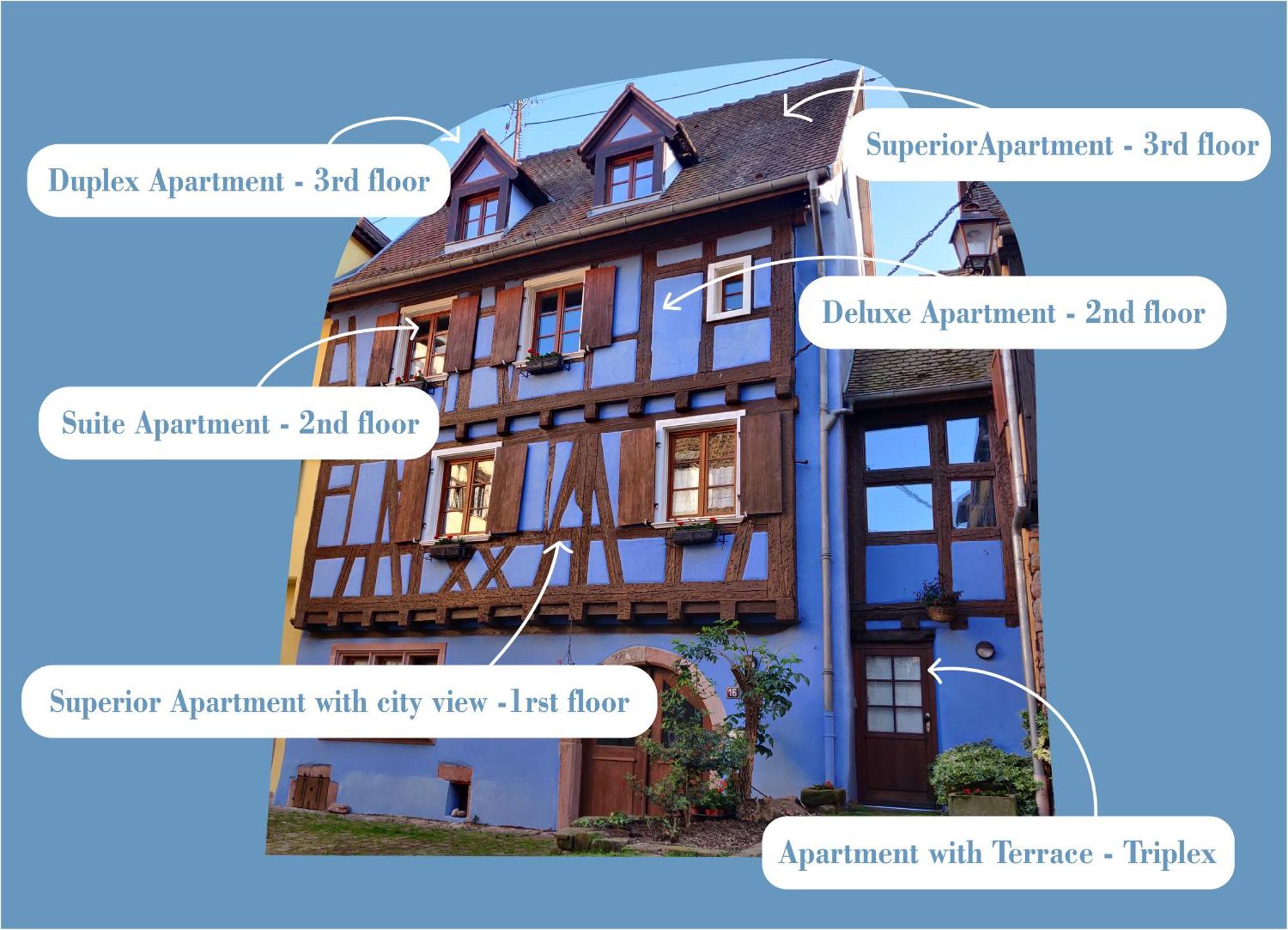La Maison Bleue - Historic House In The Heart Of 리크위르 외부 사진